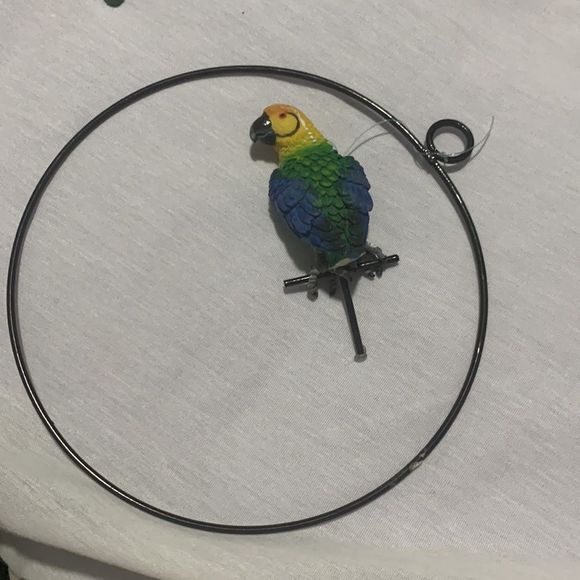 Parrots 🦜 - Picture 10 of 13